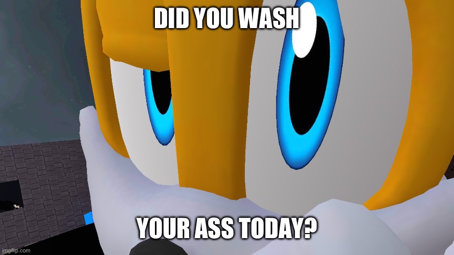 Shadow made me say it. | DID YOU WASH; YOUR ASS TODAY? | image tagged in tails rock stare,shadow made me say it,vrchat,tails,tails the fox,old meme | made w/ Imgflip meme maker