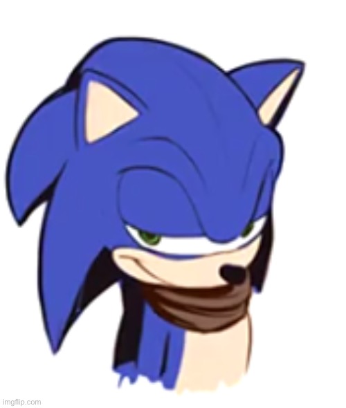 sonic smirk | image tagged in sonic smirk | made w/ Imgflip meme maker