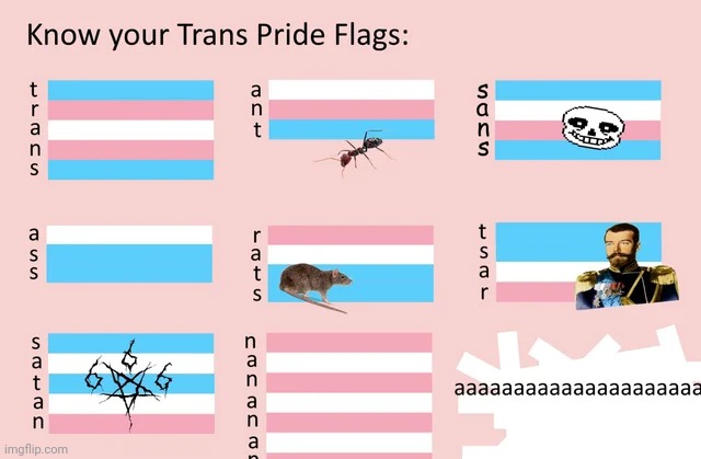 Rats | image tagged in transgender,lmao | made w/ Imgflip meme maker
