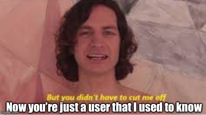 you didn't have to cut me off | Now you’re just a user that I used to know | image tagged in you didn't have to cut me off | made w/ Imgflip meme maker