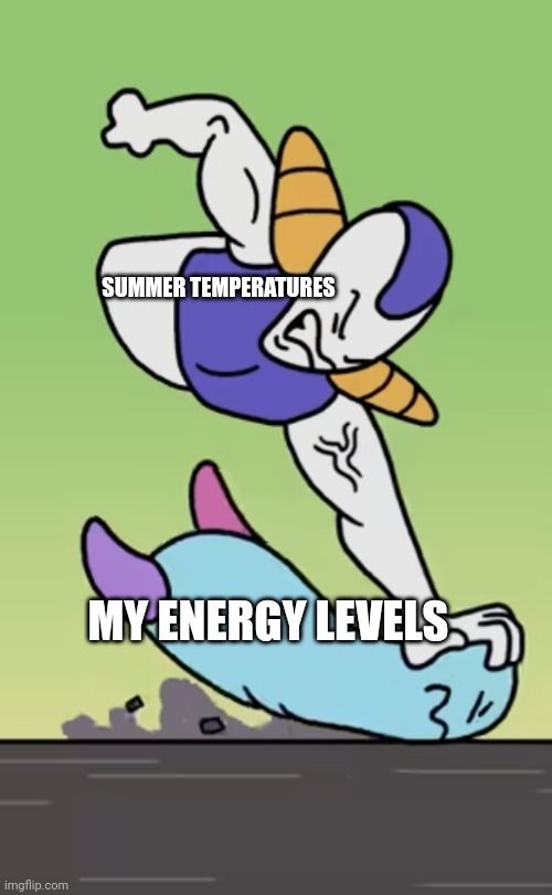Too hot in summer, of course my energy is low!!! | SUMMER TEMPERATURES; MY ENERGY LEVELS | image tagged in boggo getting beaten up | made w/ Imgflip meme maker