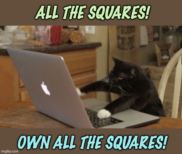 Furiously Typing Cat | ALL THE SQUARES! OWN ALL THE SQUARES! | image tagged in furiously typing cat | made w/ Imgflip meme maker