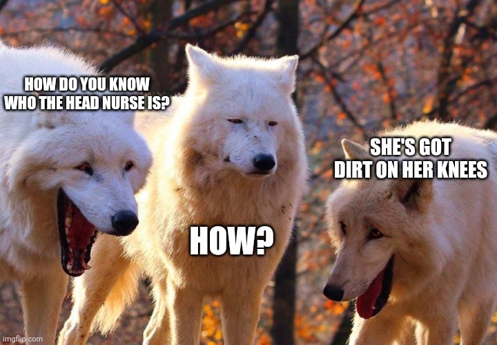 2/3 wolves laugh | HOW DO YOU KNOW WHO THE HEAD NURSE IS? SHE'S GOT DIRT ON HER KNEES; HOW? | image tagged in 2/3 wolves laugh | made w/ Imgflip meme maker