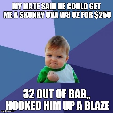Success Kid | MY MATE SAID HE COULD GET ME A SKUNKY OVA W8 OZ FOR $250 32 OUT OF BAG,, HOOKED HIM UP A BLAZE | image tagged in memes,success kid | made w/ Imgflip meme maker