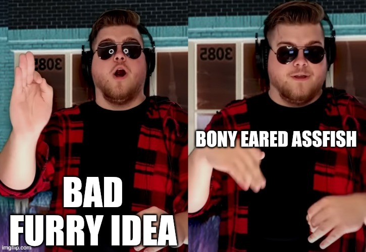 Bad X Idea | BAD FURRY IDEA BONY EARED ASSFISH | image tagged in bad x idea | made w/ Imgflip meme maker