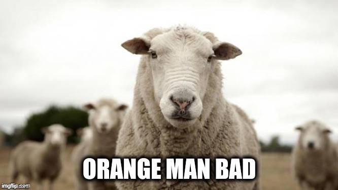 Listen to this sheep | image tagged in memes,sheep | made w/ Imgflip meme maker