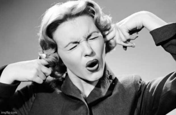 If I ignore the truth it will go away | image tagged in if i ignore the truth it will go away | made w/ Imgflip meme maker