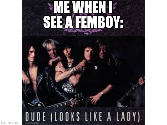 Me when I see a femboy | ME WHEN I SEE A FEMBOY: | image tagged in blank white template,aerosmith | made w/ Imgflip meme maker