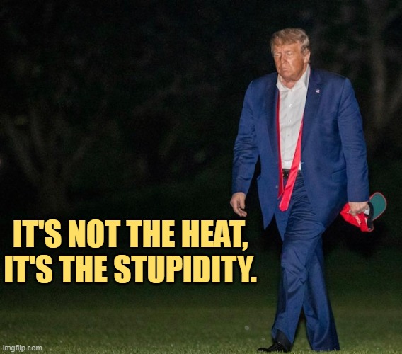Sad Man Trump | IT'S NOT THE HEAT, IT'S THE STUPIDITY. | image tagged in sad man trump,trump,heat,stupidity,defeat,loser | made w/ Imgflip meme maker