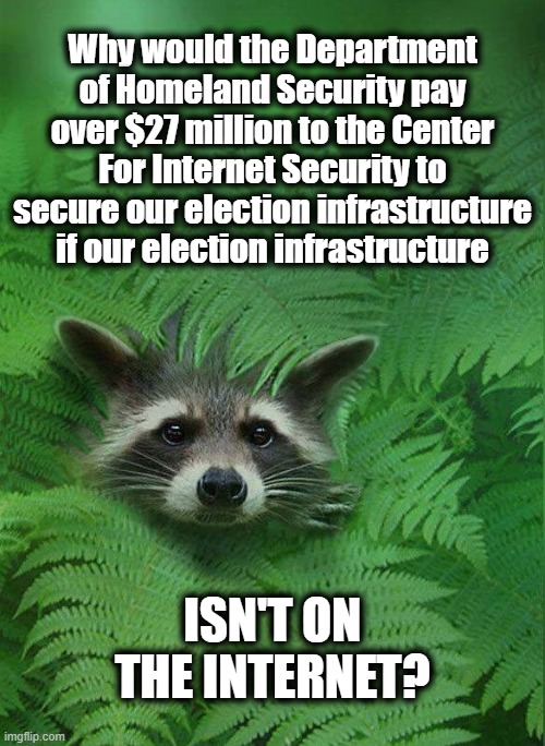 NGOs. No Good Operations | Why would the Department of Homeland Security pay over $27 million to the Center For Internet Security to secure our election infrastructure if our election infrastructure; ISN'T ON THE INTERNET? | image tagged in 2020 election,election fraud,politics,maga | made w/ Imgflip meme maker