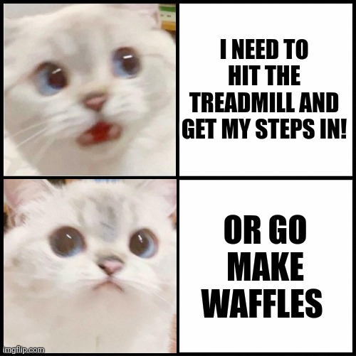 cute white cat template | I NEED TO HIT THE TREADMILL AND GET MY STEPS IN! OR GO MAKE WAFFLES | image tagged in cute white cat template | made w/ Imgflip meme maker