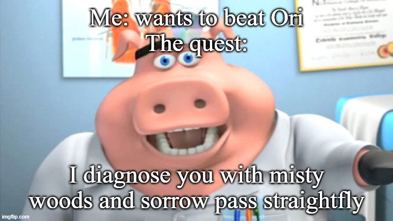 i hate them so muchh | Me: wants to beat Ori
The quest:; I diagnose you with misty woods and sorrow pass straightfly | image tagged in i diagnose you with dead | made w/ Imgflip meme maker