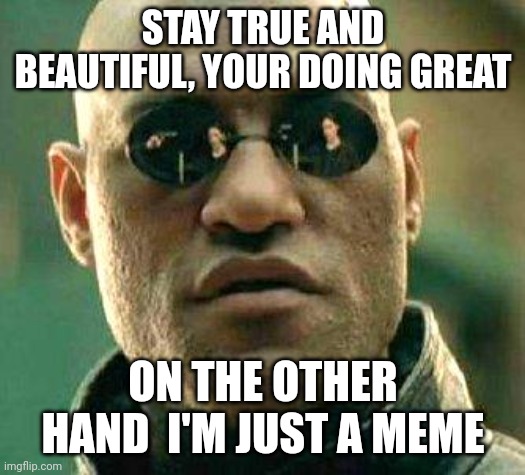 What if i told you | STAY TRUE AND BEAUTIFUL, YOUR DOING GREAT; ON THE OTHER HAND  I'M JUST A MEME | image tagged in what if i told you | made w/ Imgflip meme maker