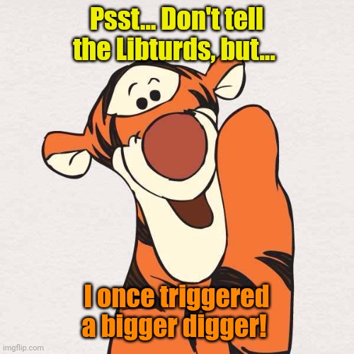 OMG! He said "Tigger"! | Psst... Don't tell the Libturds, but... I once triggered a bigger digger! | image tagged in tigger | made w/ Imgflip meme maker