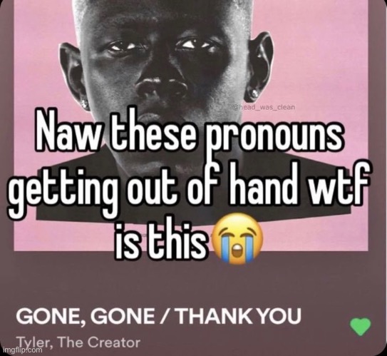 ? | image tagged in tyler,gender,pronouns | made w/ Imgflip meme maker