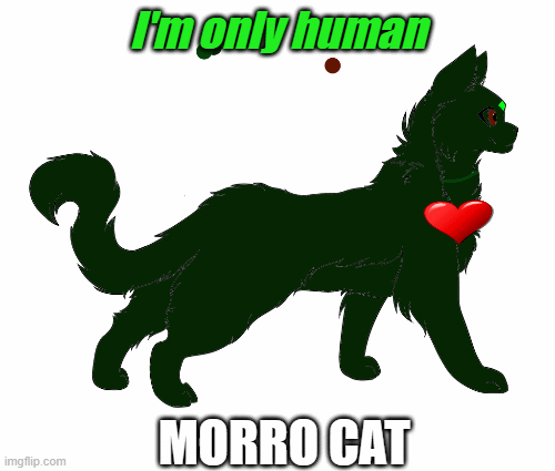 Morro has a heart | I'm only human; MORRO CAT | image tagged in gifs | made w/ Imgflip images-to-gif maker