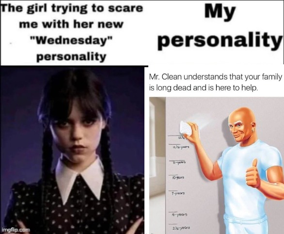 accurate | image tagged in the girl trying to scare me with her new wednesday personality | made w/ Imgflip meme maker