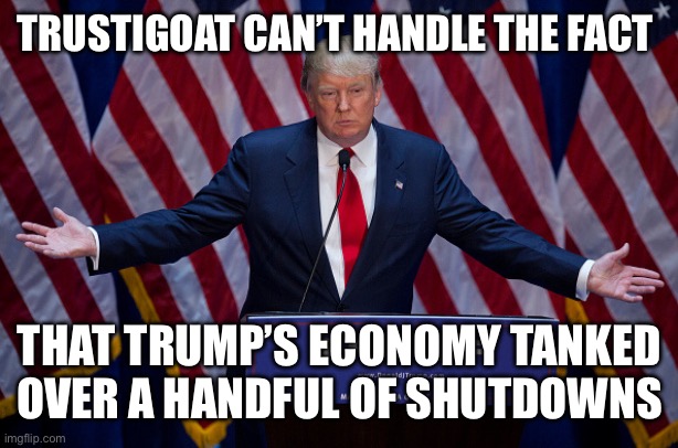 Donald Trump | TRUSTIGOAT CAN’T HANDLE THE FACT THAT TRUMP’S ECONOMY TANKED OVER A HANDFUL OF SHUTDOWNS | image tagged in donald trump | made w/ Imgflip meme maker