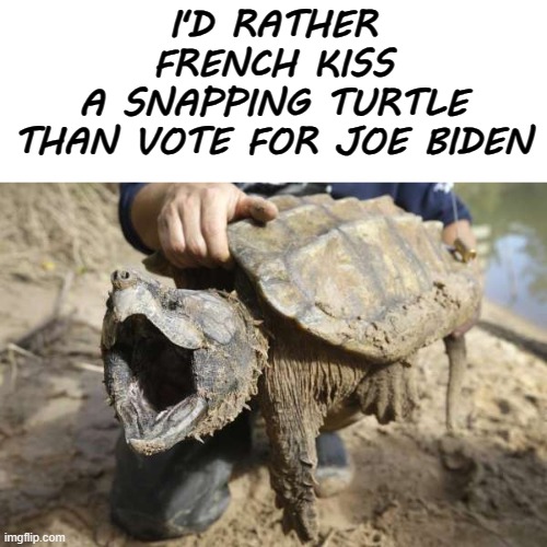 Pucker Up | I'D RATHER
FRENCH KISS
A SNAPPING TURTLE
THAN VOTE FOR JOE BIDEN | image tagged in snapping turtle,memes,politics | made w/ Imgflip meme maker