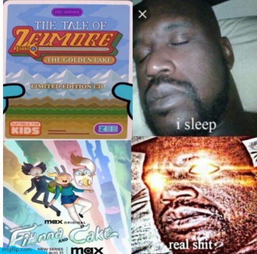Is it just me, or Adventure Time: Fionna & Cake will end up like The Tale of Zelmore reject? | image tagged in adventure time,sleeping shaq,tawog | made w/ Imgflip meme maker