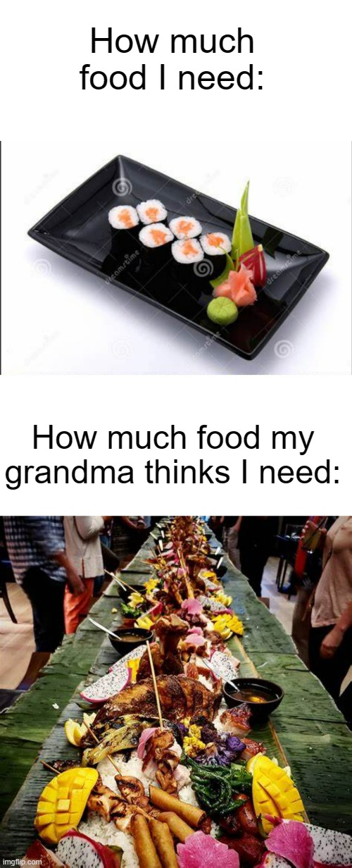 Grandma Moment | How much food I need:; How much food my grandma thinks I need: | image tagged in blank text bar,haha,funny,memes,fun,why are you reading the tags | made w/ Imgflip meme maker