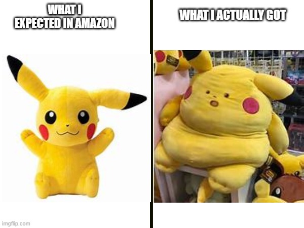 Reality | WHAT I ACTUALLY GOT; WHAT I EXPECTED IN AMAZON | image tagged in pikachu,funny,memes | made w/ Imgflip meme maker