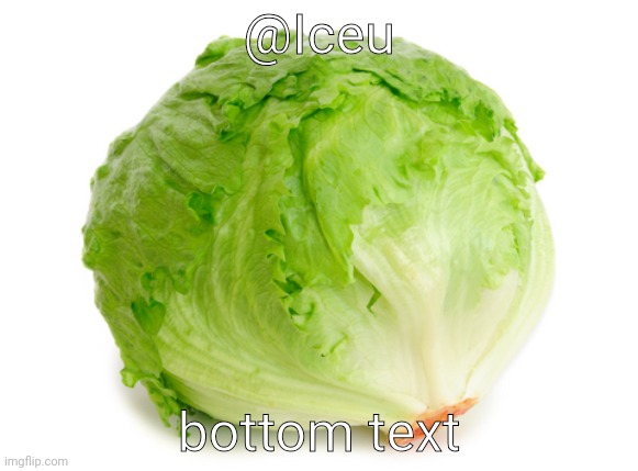 Lettuce cult | @Iceu; bottom text | image tagged in lettuce | made w/ Imgflip meme maker