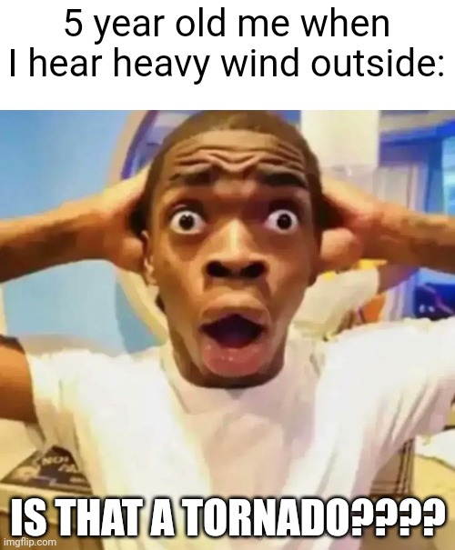 oh no!!11! | 5 year old me when I hear heavy wind outside:; IS THAT A TORNADO???? | image tagged in shocked black guy | made w/ Imgflip meme maker