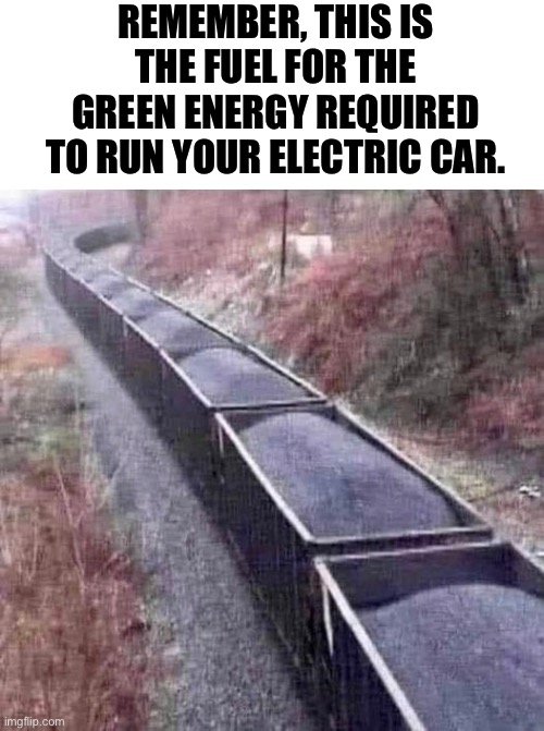 Green energy fuel | REMEMBER, THIS IS THE FUEL FOR THE GREEN ENERGY REQUIRED TO RUN YOUR ELECTRIC CAR. | image tagged in carbon footprint | made w/ Imgflip meme maker