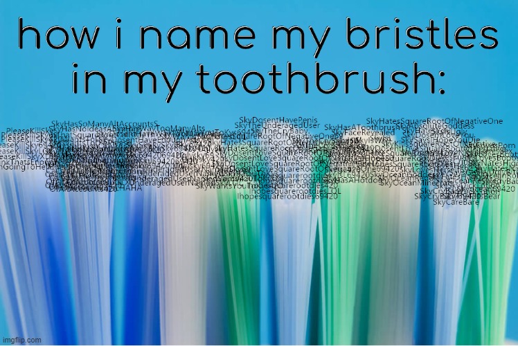 i love naming bristles! | image tagged in add,your,own,tags | made w/ Imgflip meme maker