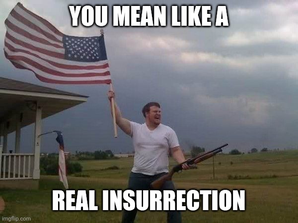 American flag shotgun guy | YOU MEAN LIKE A REAL INSURRECTION | image tagged in american flag shotgun guy | made w/ Imgflip meme maker