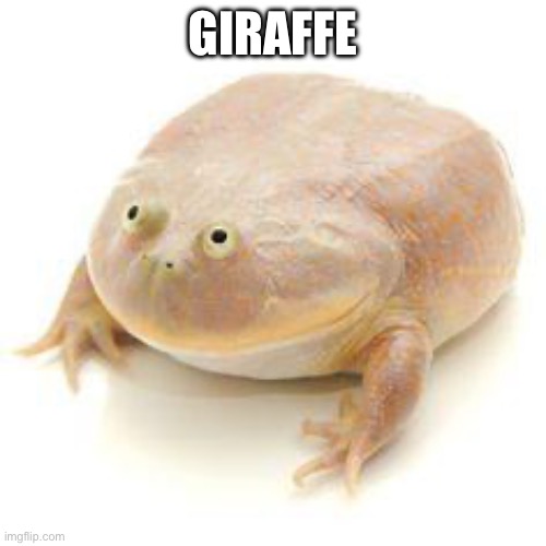 Wednesday Frog Blank | GIRAFFE | image tagged in wednesday frog blank | made w/ Imgflip meme maker