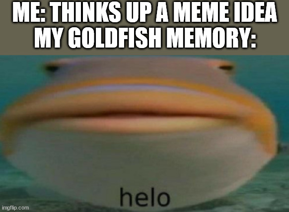 This happens I think every 5 seconds | ME: THINKS UP A MEME IDEA
MY GOLDFISH MEMORY: | image tagged in helo,memory,wow,memes,goldfish memory | made w/ Imgflip meme maker