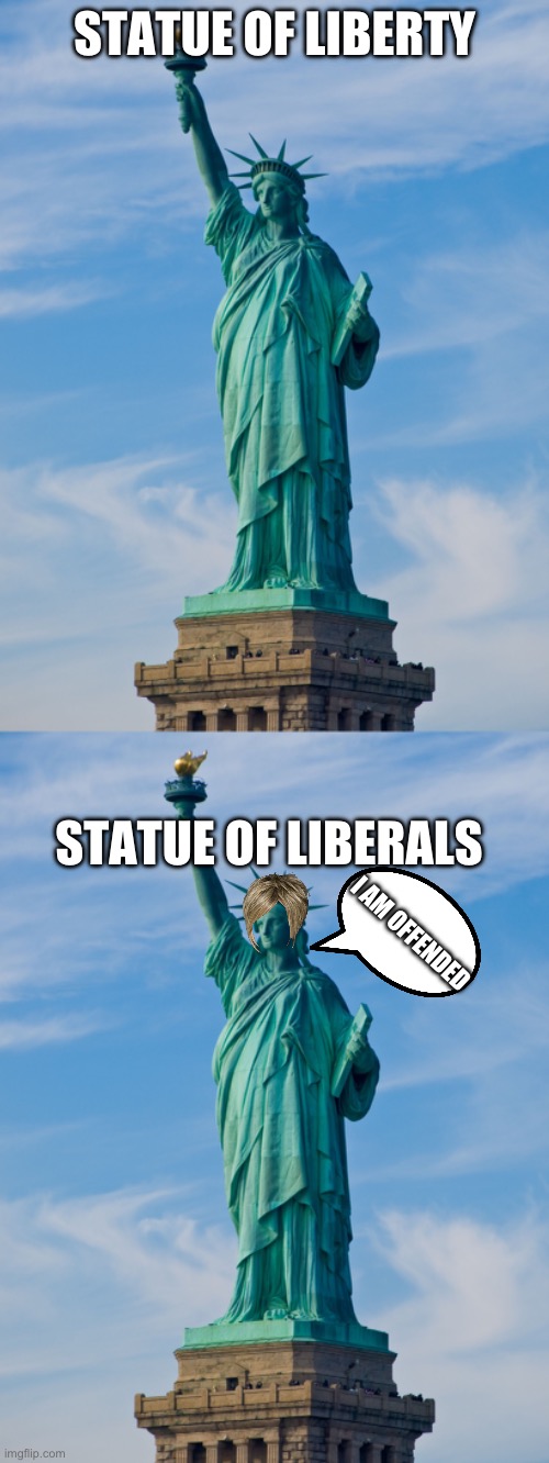 STATUE OF LIBERTY; STATUE OF LIBERALS; I AM OFFENDED | image tagged in statue of liberty | made w/ Imgflip meme maker