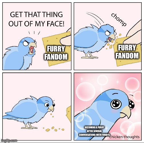 Bird Cracker | FURRY FANDOM; FURRY FANDOM; BECOMING A FURRY AFTER SEVERAL CONVERSATIONS WITH FURRYS | image tagged in bird cracker | made w/ Imgflip meme maker