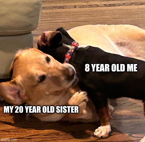 (insert title here) | 8 YEAR OLD ME; MY 20 YEAR OLD SISTER | image tagged in siblings,dogs | made w/ Imgflip meme maker