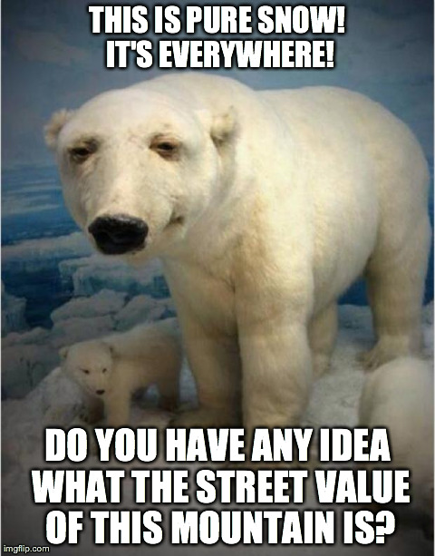 THIS IS PURE SNOW! IT'S EVERYWHERE! DO YOU HAVE ANY IDEA WHAT THE STREET VALUE OF THIS MOUNTAIN IS? | image tagged in stoner polarbear | made w/ Imgflip meme maker