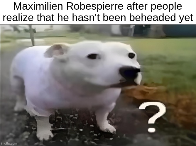 idk the whole story i forgot, correct me in comments | Maximilien Robespierre after people realize that he hasn't been beheaded yet | image tagged in huh dog | made w/ Imgflip meme maker