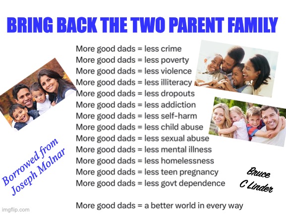 We Need the Two Parent Family | BRING BACK THE TWO PARENT FAMILY; Borrowed from
Joseph Molnar; Bruce C Linder | image tagged in moms and dads,low crime,low drug use,high self esteem | made w/ Imgflip meme maker