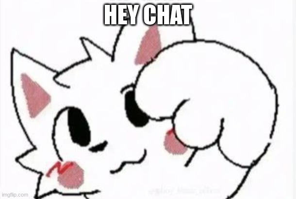 Boykisser | HEY CHAT | image tagged in boykisser | made w/ Imgflip meme maker