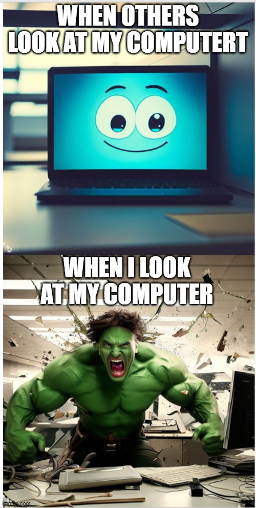 Hulk Smash Laptop | WHEN OTHERS LOOK AT MY COMPUTERT; WHEN I LOOK AT MY COMPUTER | image tagged in hulk,hate my computer | made w/ Imgflip meme maker