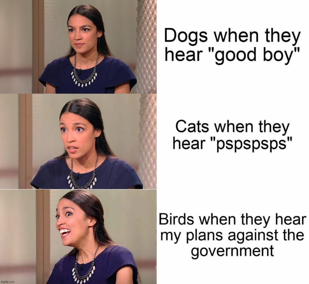 image tagged in bad pun ocasio-cortez | made w/ Imgflip meme maker