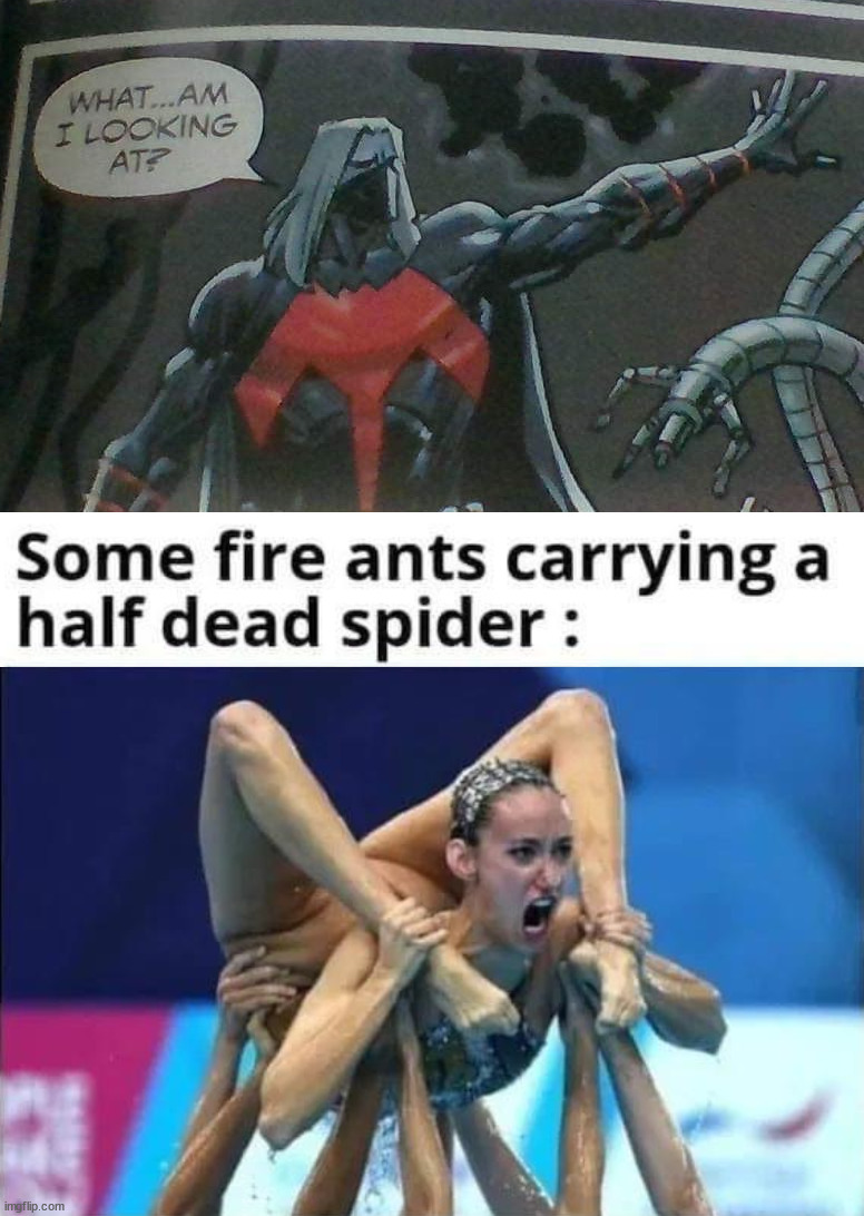 image tagged in what am i looking at | made w/ Imgflip meme maker