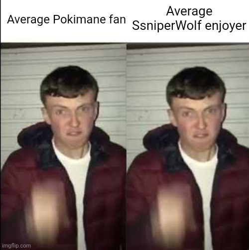 Title goes here | Average SsniperWolf enjoyer; Average Pokimane fan | image tagged in giga chad template | made w/ Imgflip meme maker