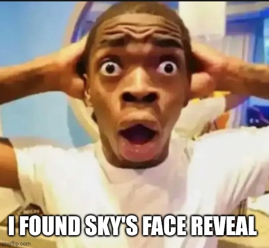 https://imgflip.com/i/7w1nu6 | I FOUND SKY'S FACE REVEAL | image tagged in surprised black guy | made w/ Imgflip meme maker