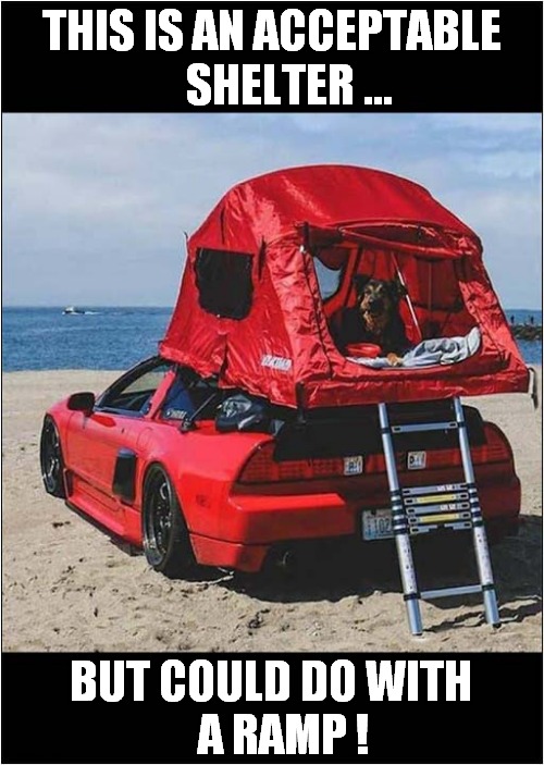 A Day At The Beach ! | THIS IS AN ACCEPTABLE
    SHELTER ... BUT COULD DO WITH 
  A RAMP ! | image tagged in dogs,day at the beach,shelter | made w/ Imgflip meme maker