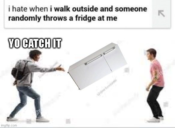I really hate when that happens | YO CATCH IT | image tagged in lol so funny,meme,funny memes,funny,funny meme,fridge | made w/ Imgflip meme maker
