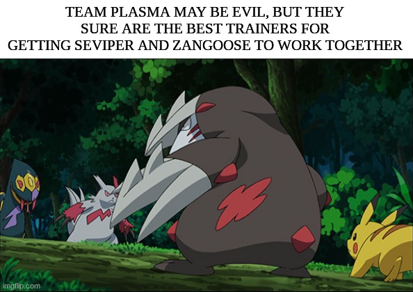 Better trainers than Ash | TEAM PLASMA MAY BE EVIL, BUT THEY SURE ARE THE BEST TRAINERS FOR GETTING SEVIPER AND ZANGOOSE TO WORK TOGETHER | image tagged in pokemon,anime,memes,pokemonanime | made w/ Imgflip meme maker