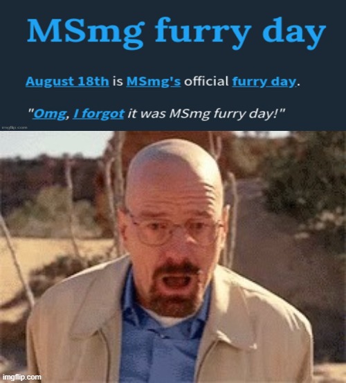 NOOOOOOOOOOOO... | image tagged in walter white | made w/ Imgflip meme maker