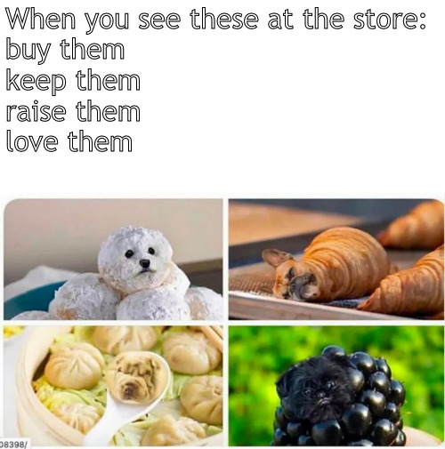 the best little bits on the planet | When you see these at the store:
buy them
keep them
raise them
love them | image tagged in memes,middle school,little bits | made w/ Imgflip meme maker